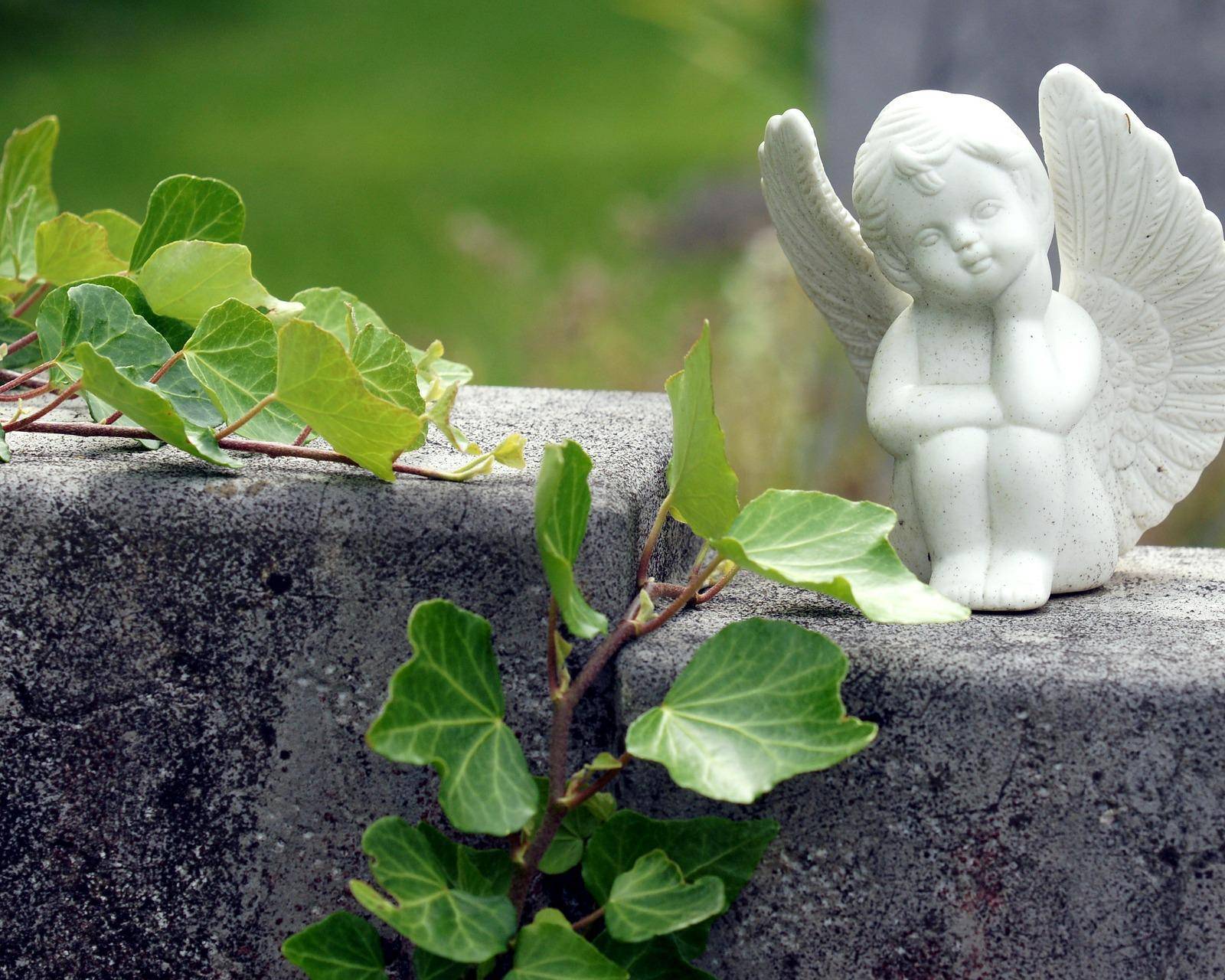 Brand Trauerberatung