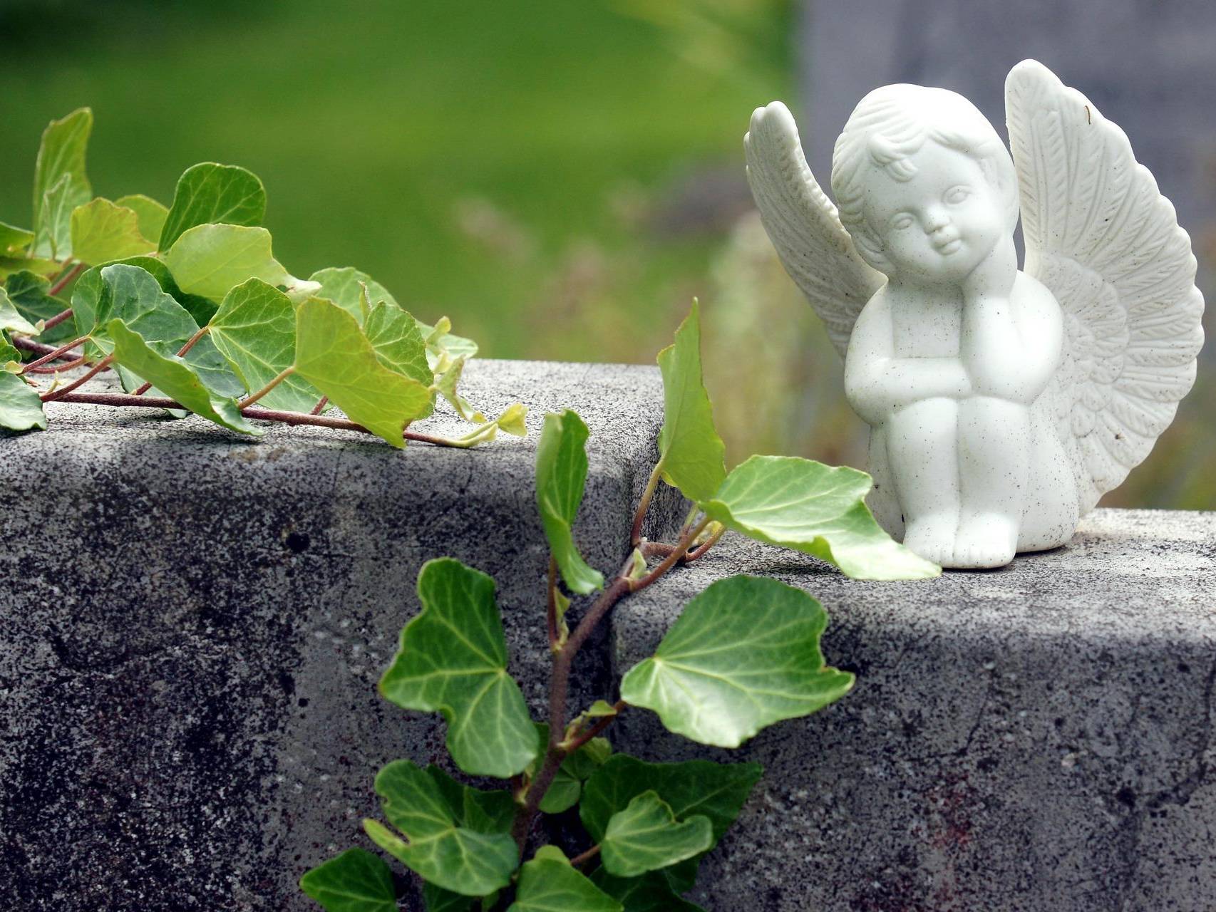 Brand Trauerberatung